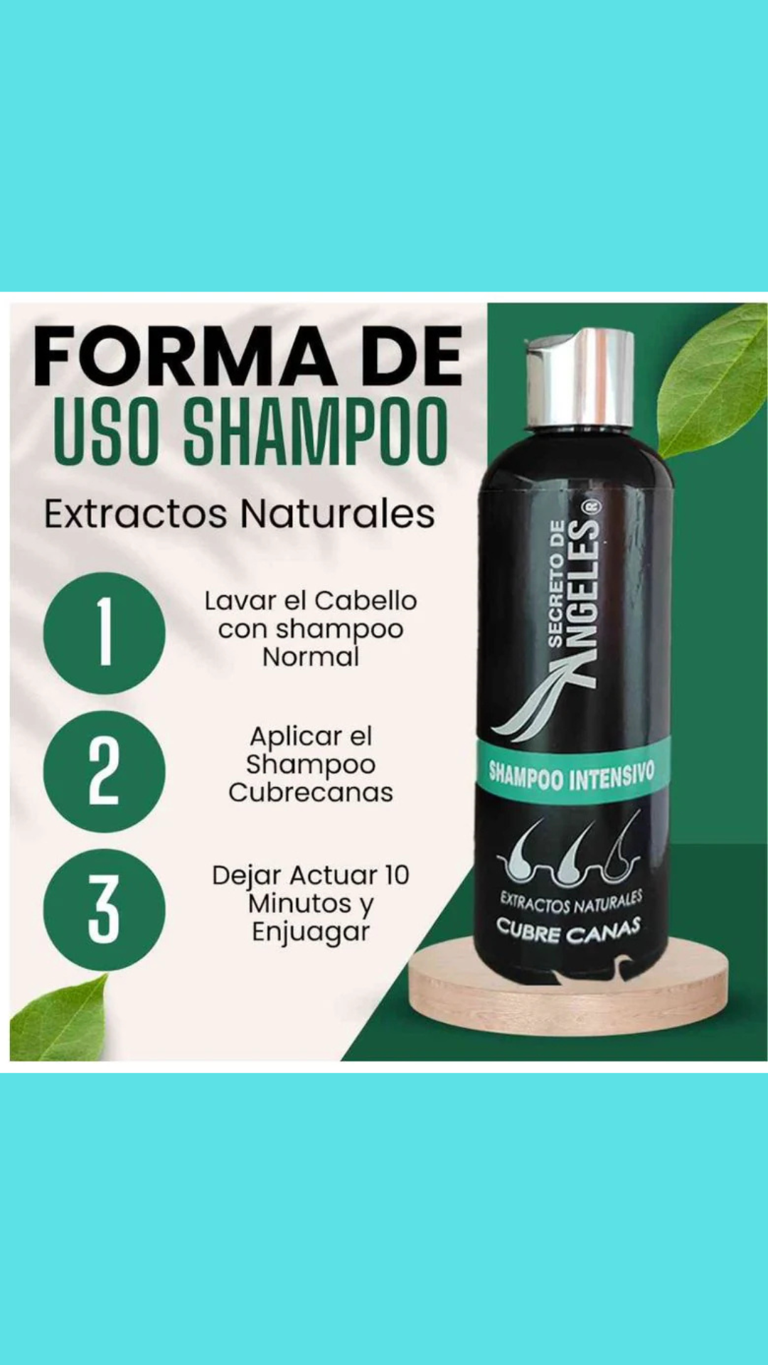 ✨SHAMPOO CUBRECANAS SECRETO DE ANGELES✨