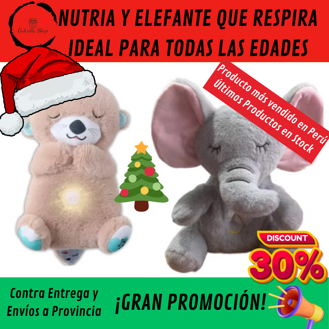 🐻🐨NUTRIA Y ELEFANTE QUE RESPIRA🐻🐨