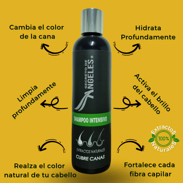 ✨SHAMPOO CUBRECANAS SECRETO DE ANGELES✨